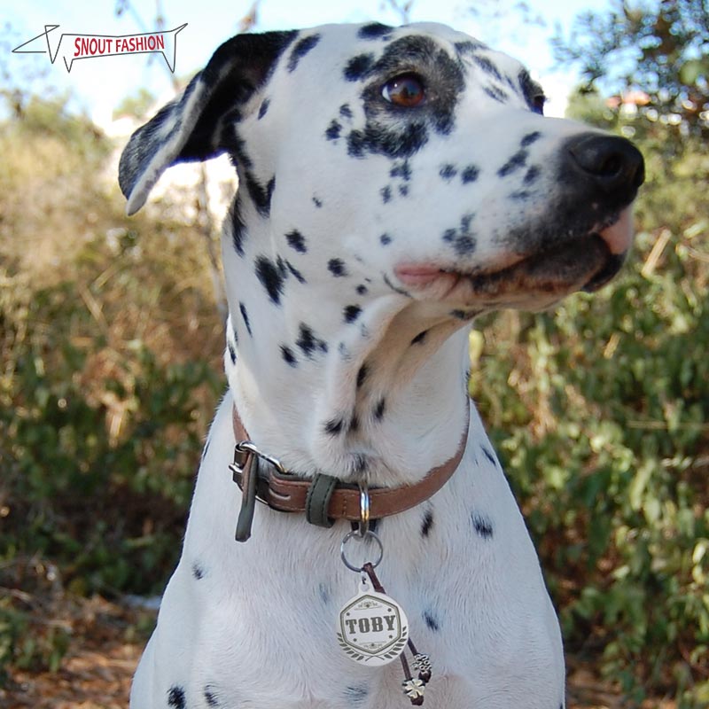 Vintage dog Id Tag Vintage dog Id Tag
