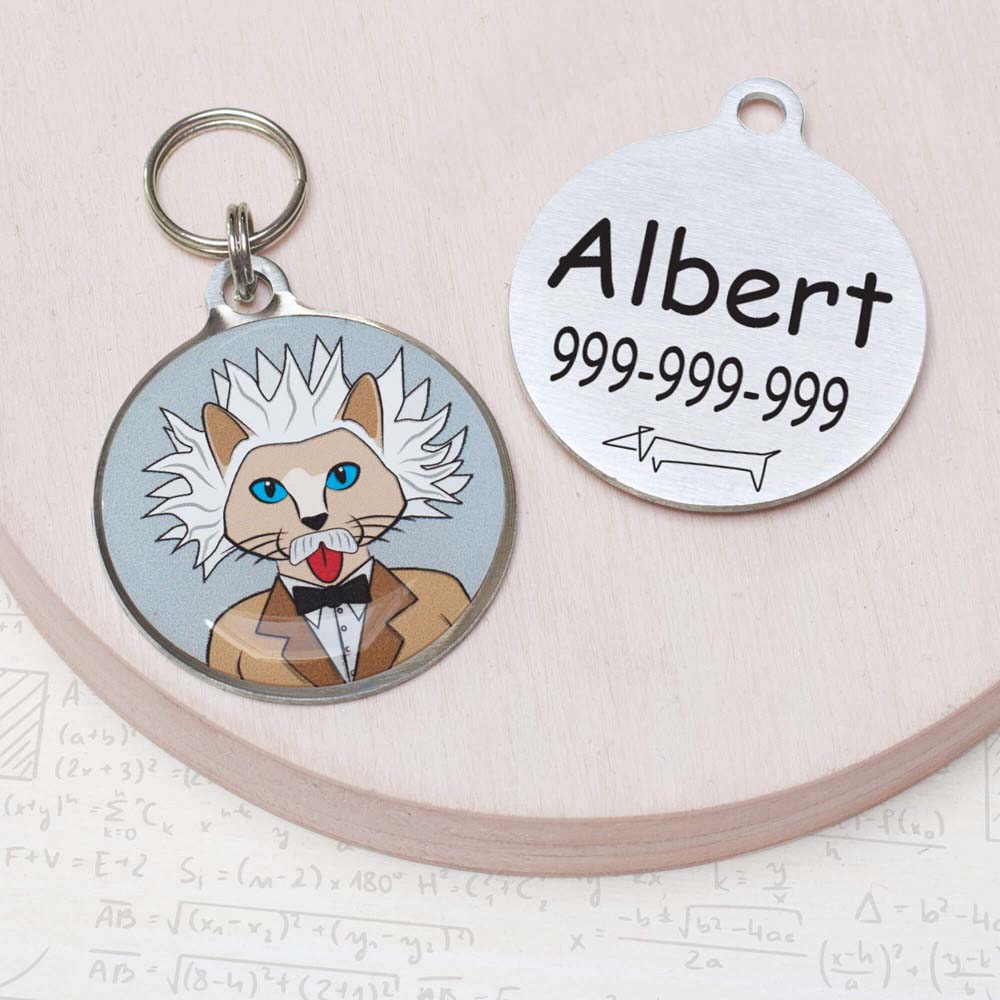albert einstein Funny cat id tag for pets