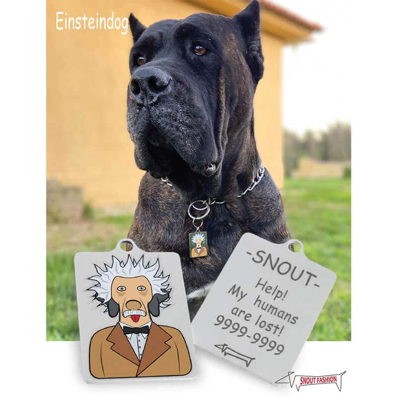 Personalized Einstein dog Id Tag