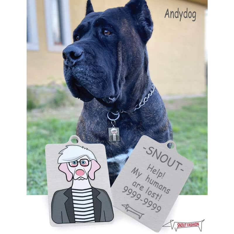 Personalized Andy Warhol dog Id Tag