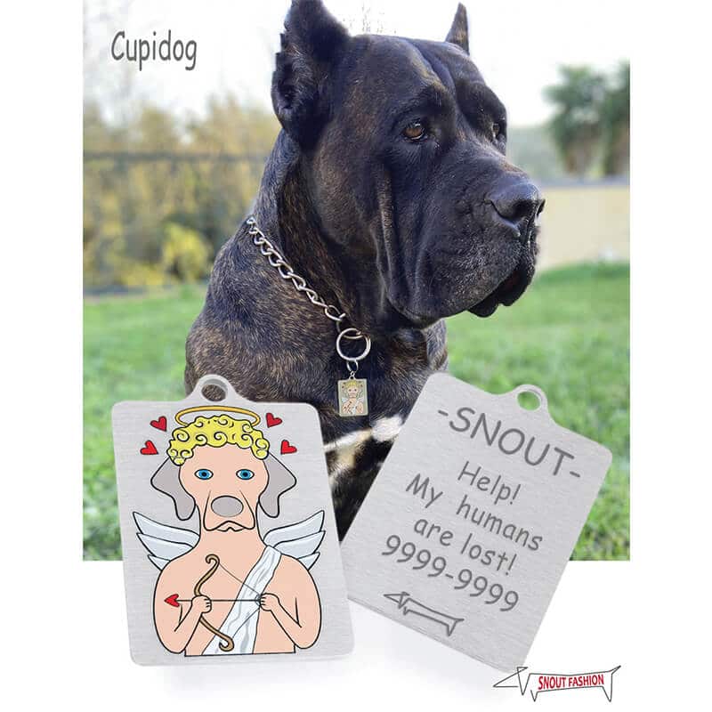 Personalized Cupid dog Tag
