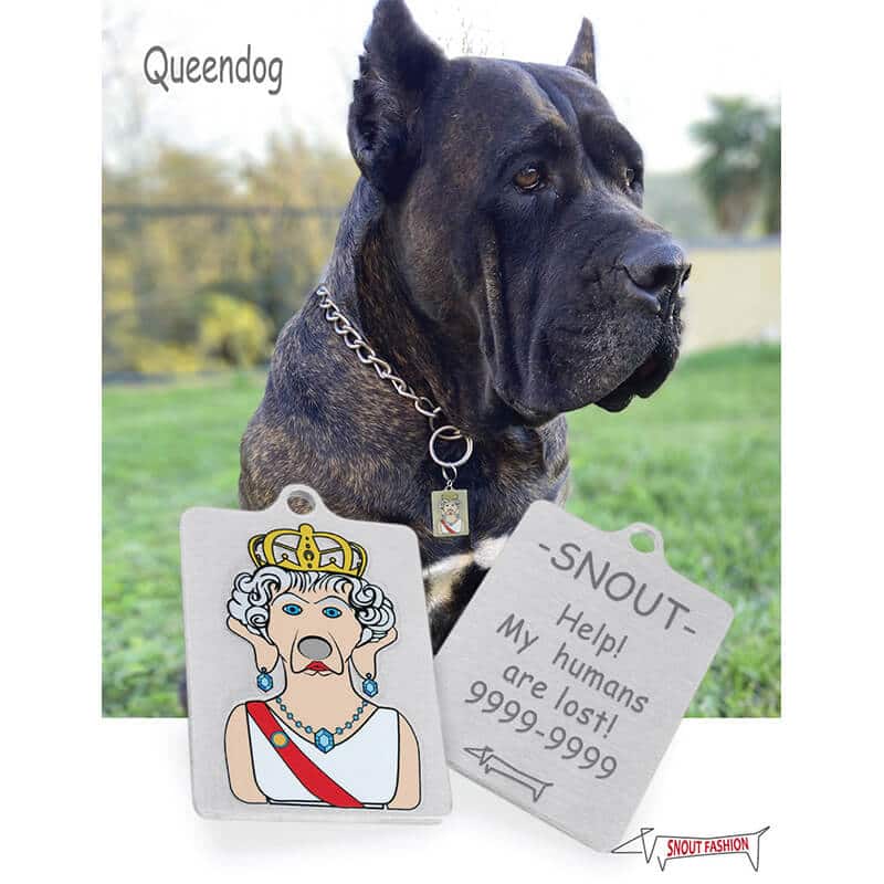 Elizabeth-II_Dog-Tag_ID-tag_RECT_Model Personalized Elizabeth II dog Tag