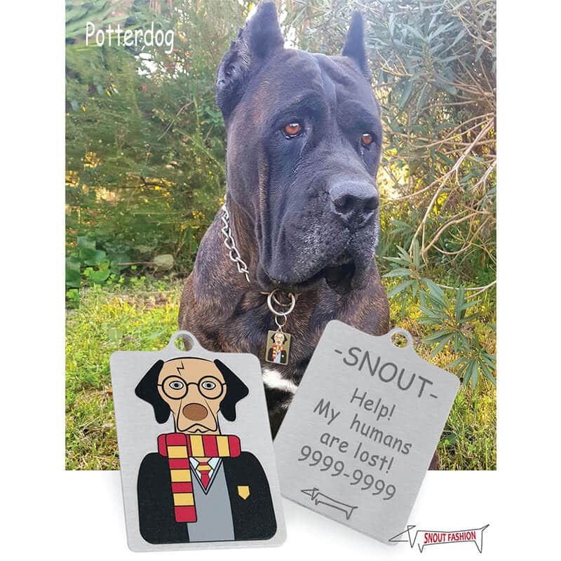 Harry-Potter_Dog-Tag_ID-tag_RECT_Model Personalized Potter dog Tag