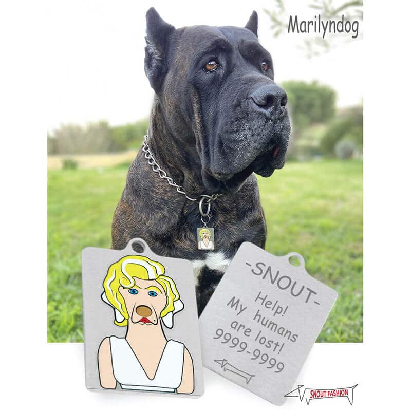 Marilyn-Monroe_Dog-Tag_ID-tag_RECT_Model personalized Marilyn Monroe dog ID Tag