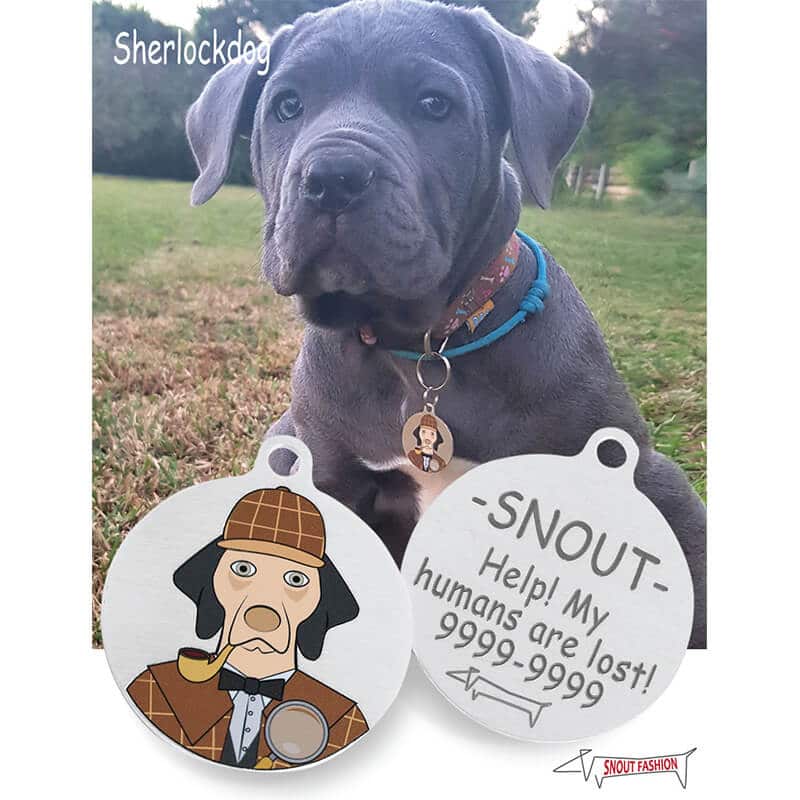 Personalized Sherlock Holmes dog ID Tag