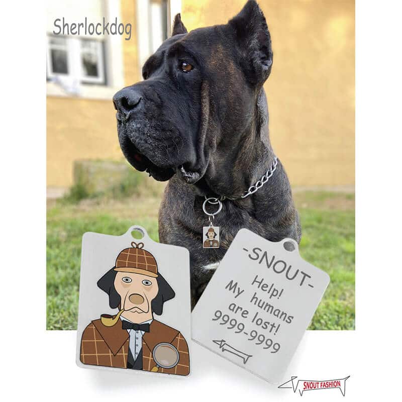 Personalized Sherlock Holmes dog ID Tag